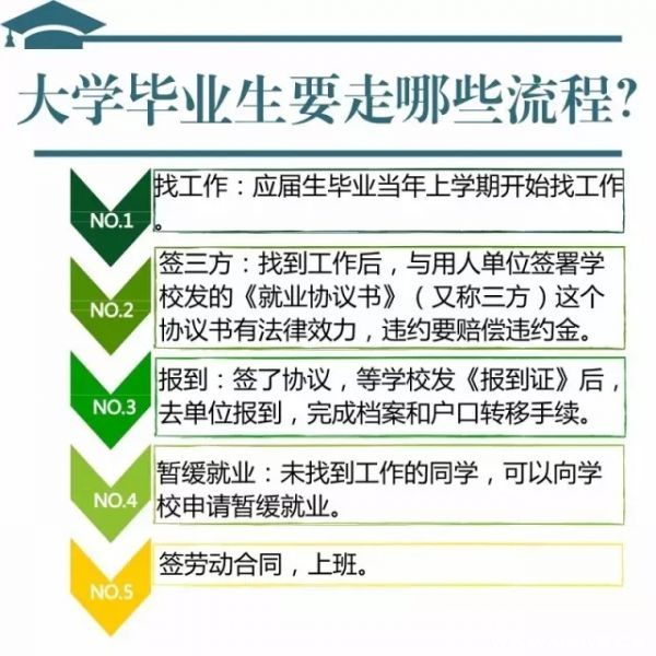 偃师工作招聘最新信息及应聘指南，初学者与进阶用户通用参考手册