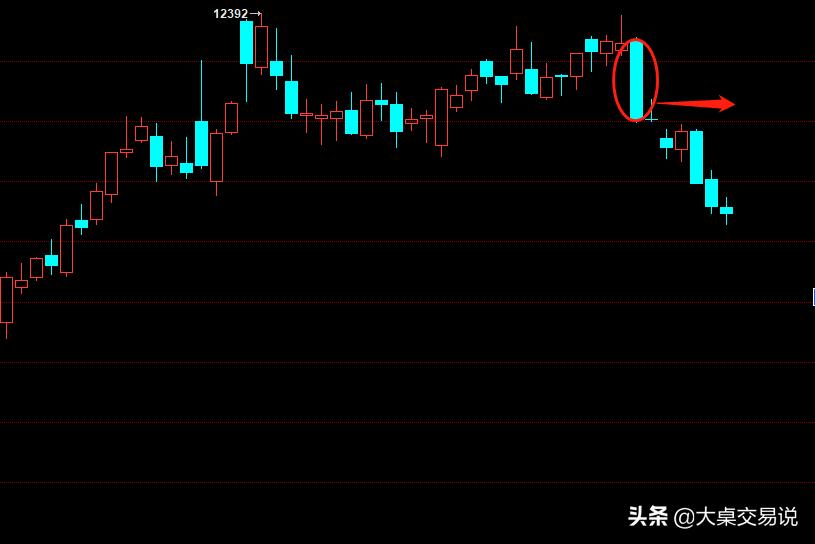 棕榈期货最新动态及市场走势深度解析