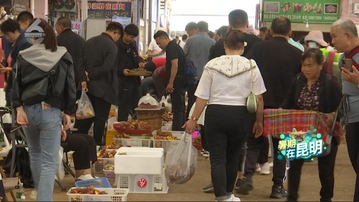 NBA最新交易动态及篮球与大自然的和谐交融之旅