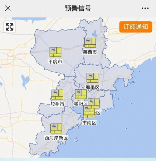 青岛最新天气预报，气象信息与温馨日常故事同步播报