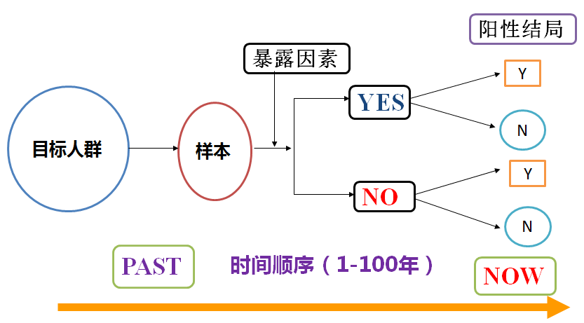 新澳天天开状资料最新资枓大全,专业地调查详解_YWN94.664升级版