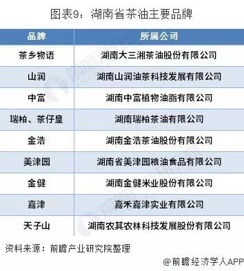 最新会计招聘趋势，行业现状、未来展望及应聘者指南