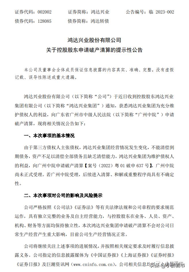 鸿达兴业最新动态深度分析与观点阐述