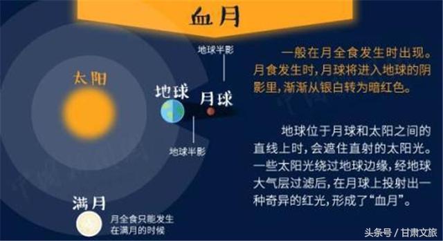 2024年香港今晚特马开什么134,决策支持方案_GTN50.350网络版