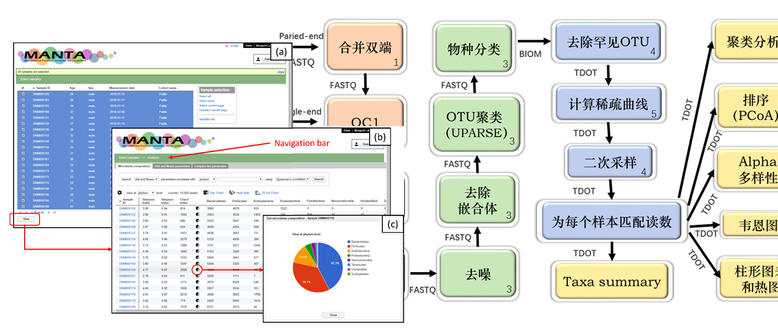 白小组正版免费资料,统计材料解释设想_MWB50.335稳定版