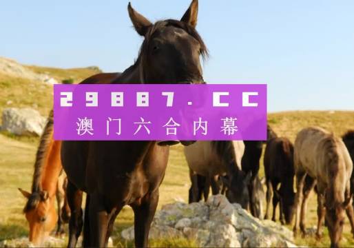 管家婆澳门一肖一码100精准2023,绝对评价_DAV49.942温馨版