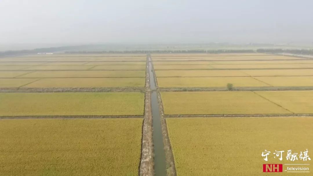 草社区发展脉络见证时代变迁的历程