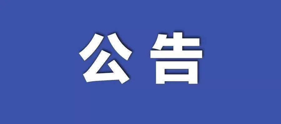 新澳门正版资料免费公开查询,灵活性执行方案_TMG45.578拍照版