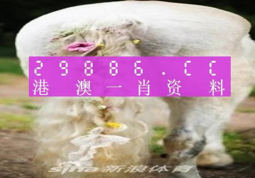 澳门必中一肖一码四不像,方案优化实施_NMQ45.846明亮版