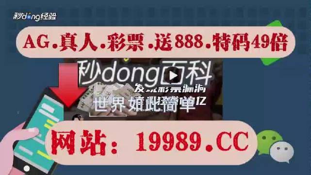 2024澳门天天开好彩大全免费,案例实证分析_FLQ45.177知晓版