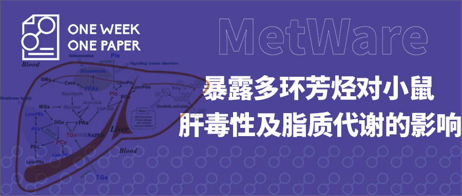 大三巴免费资料一肖,解答配置方案_YKT45.700闪电版