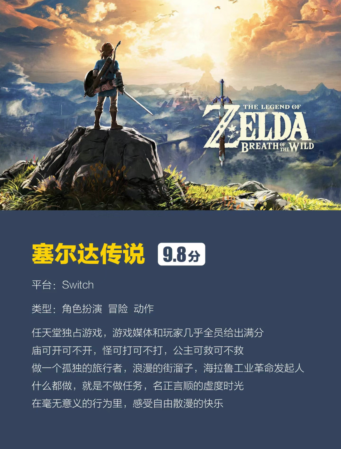 最新Switch游戏，探索变化，自信翱翔的励志之旅