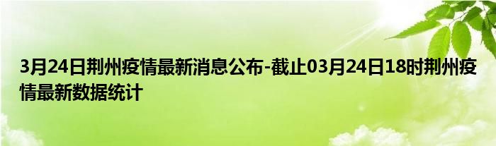 荆州疫情实时更新，最新消息汇总