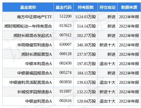 南山控股股票最新动态与资讯更新📈