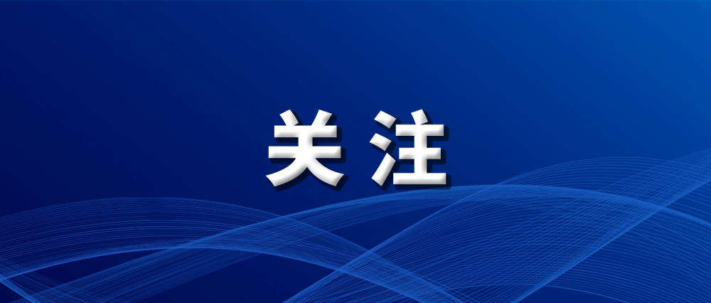 新澳门免费资料最新版,深入探讨方案策略_CCL85.750专业版