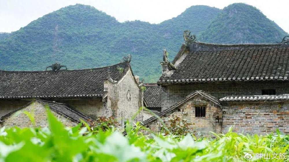 广西钟山小巷深处的独特风味，最新消息一览