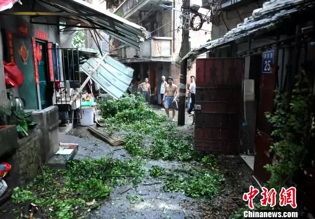 福建台风最新消息与小巷深处的独特风味探索