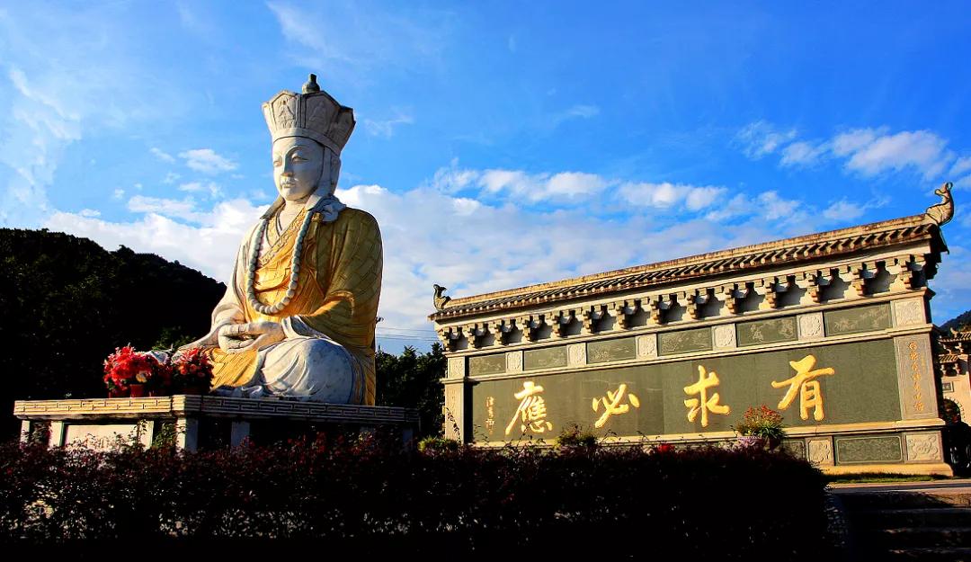 最新版大财神，与自然同行，探寻内心平和之旅