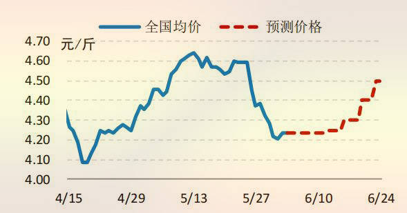 探索自然美景的旅行之旅