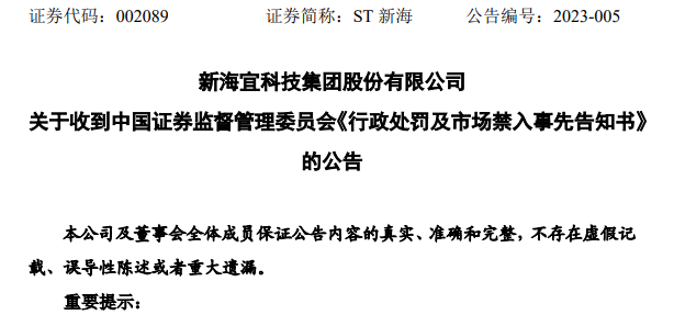 新海宜最新动态深度解析与观点阐述