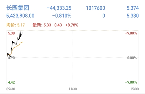 长园集团股票,长园集团股票，投资价值的深度解析