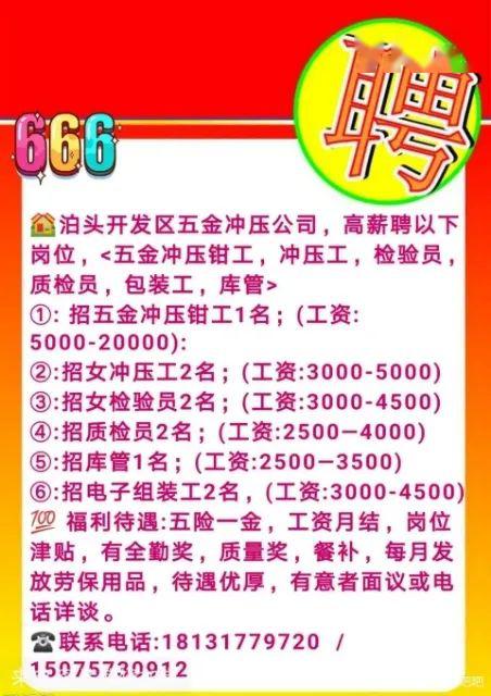 泊头最新招聘信息,泊头最新招聘信息，时代的脉搏与职业的新篇章