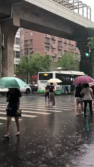 福建暴雨最新消息，雨中故事传递温暖与关怀