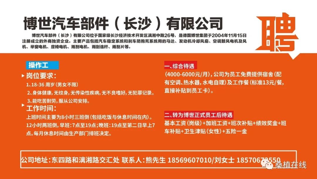 医药招聘网最新招聘信息，变化中的自信与成就感，勇敢追梦之旅！