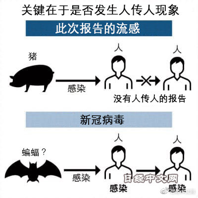 全国最新猪流感科技产品介绍与概述