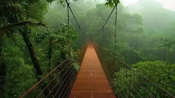 最新门事件图片，自然美景的心灵之旅探索